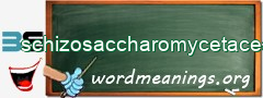 WordMeaning blackboard for schizosaccharomycetaceae